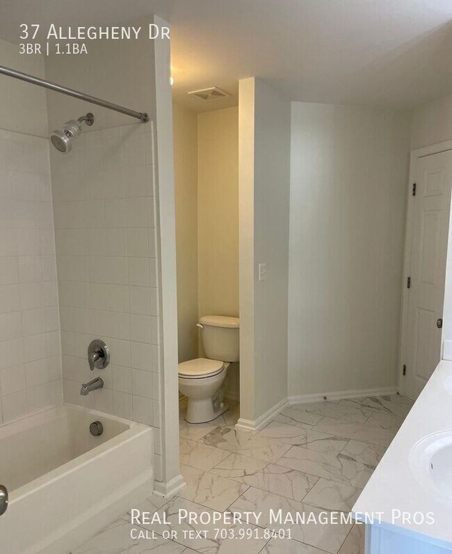 Building Photo - 37 Allegheny Dr