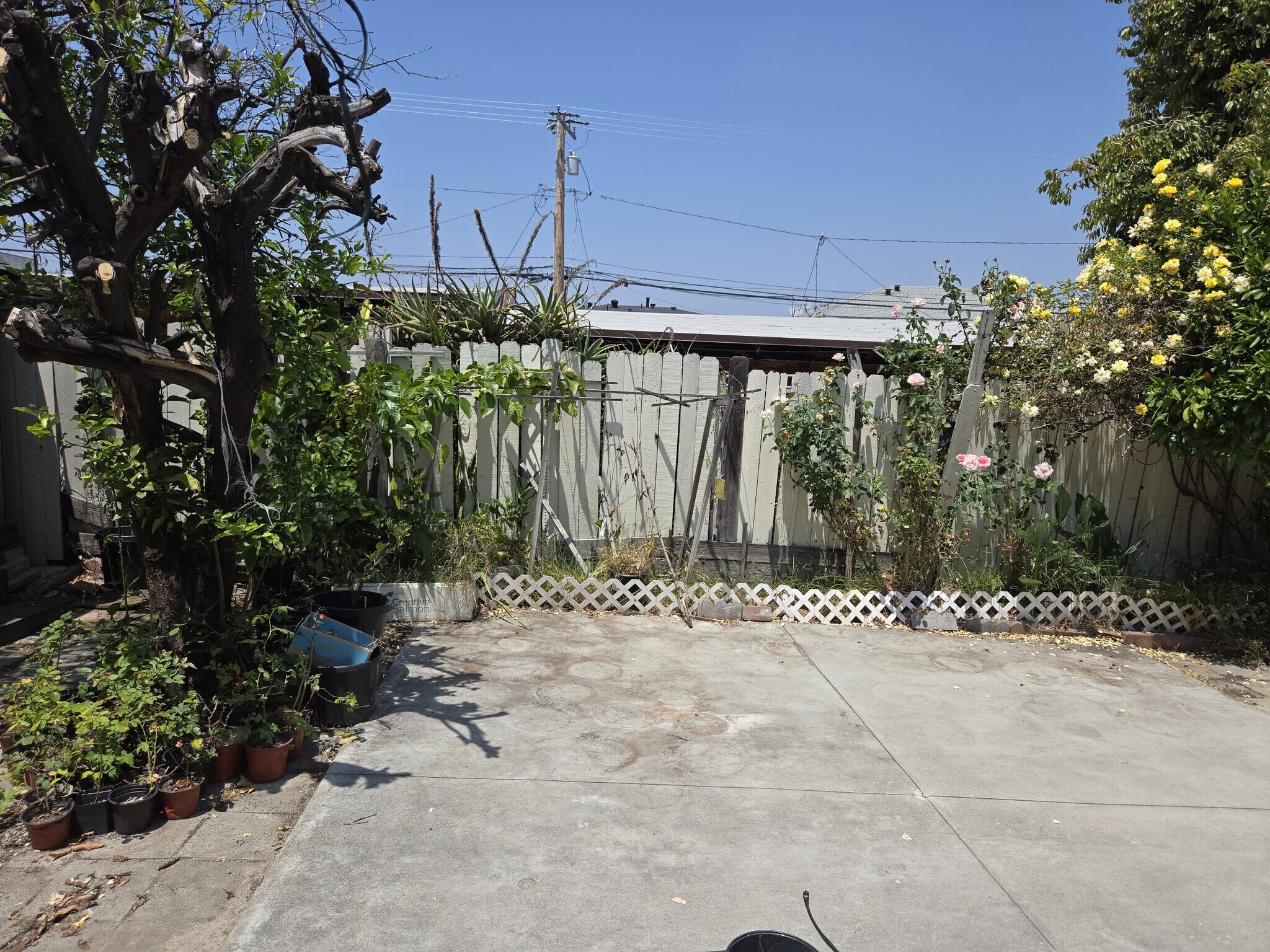 Building Photo - 2817 Montezuma Ave