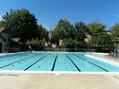Main Pool / Lap Pool - 10723 Hampton Mill Ter