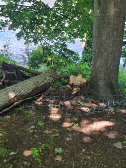 Building Photo - 700 Lawrence St