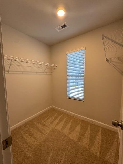 Building Photo - 319 Bisham Ct