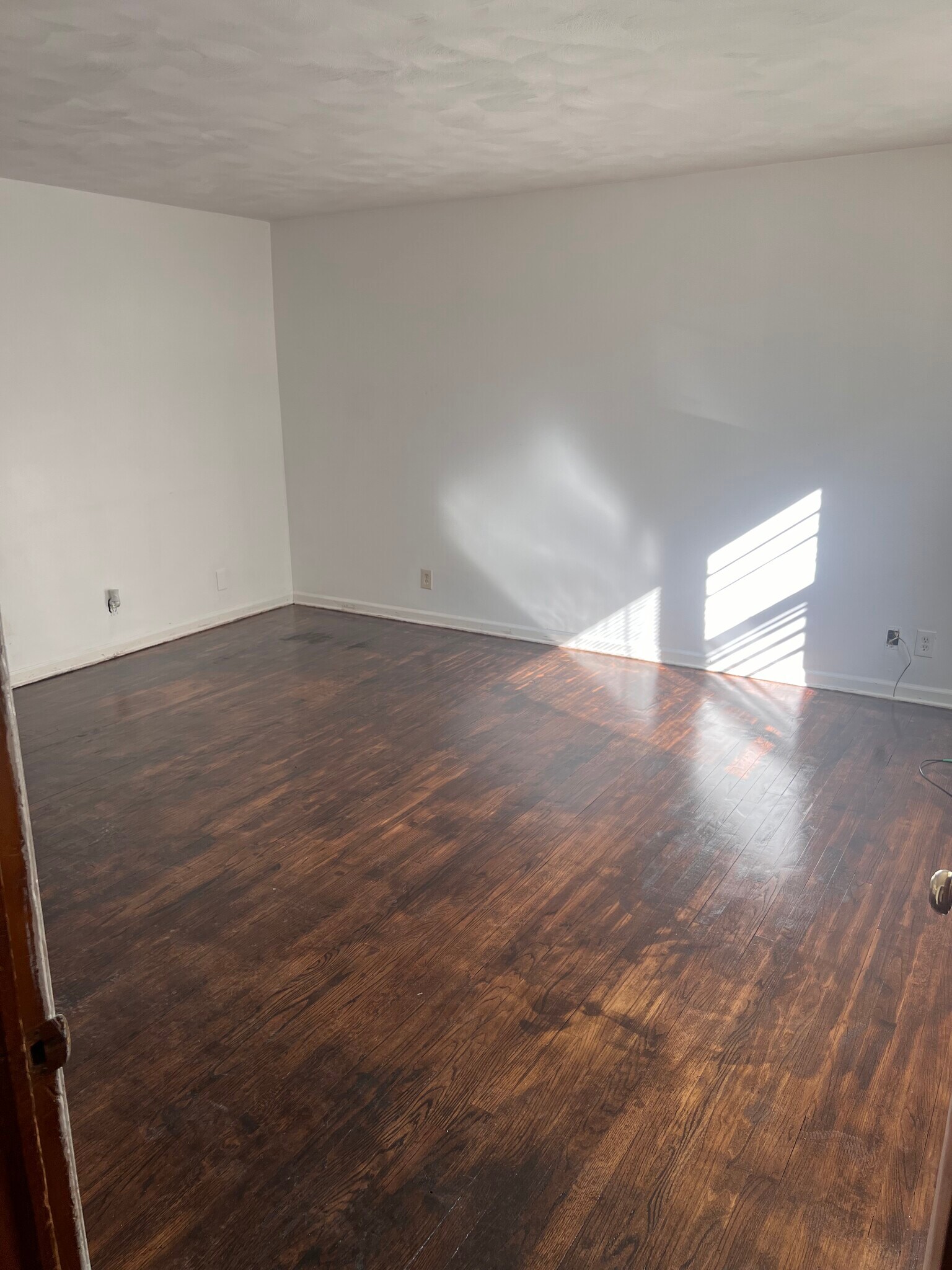 Living room - 21 N Spring St