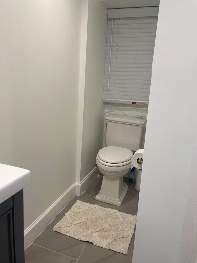 Basement bathroom - 5151 MacArthur Blvd NW