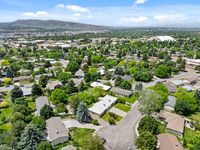 Building Photo - Rice St (17/19)