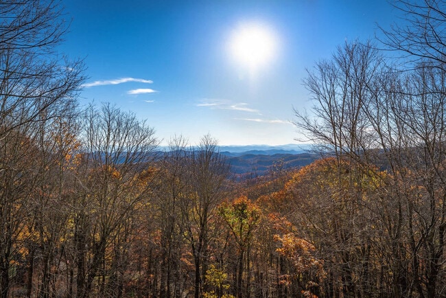 Building Photo - 585 Granny Lewis Ln