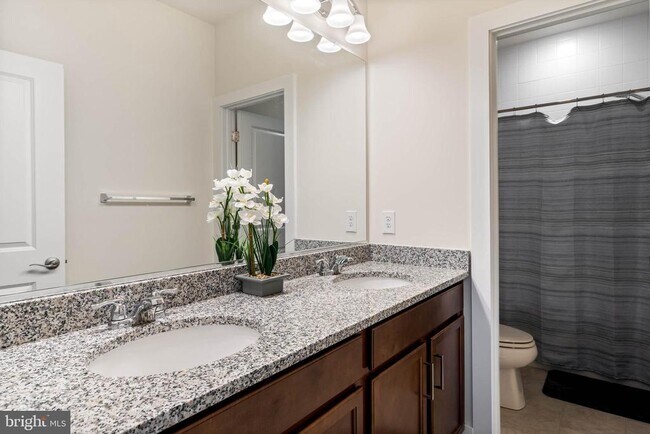 Building Photo - 36081 Windsor Park Dr