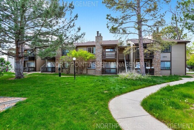 Primary Photo - Charming 1 beds 1 bath in Aurora!