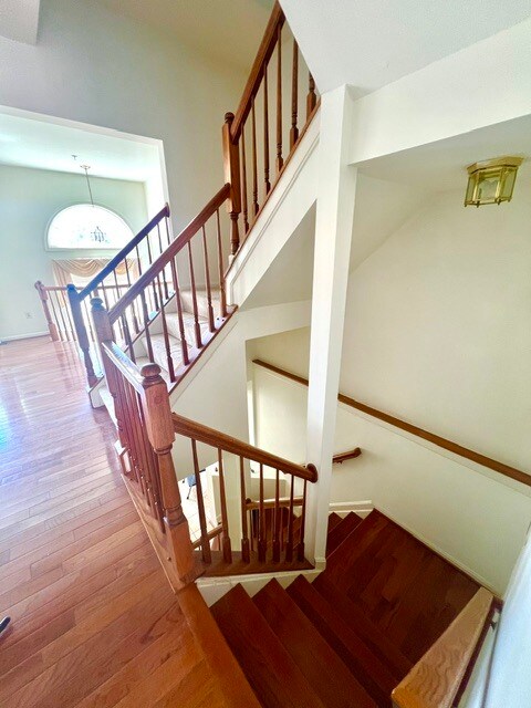 Building Photo - 21259 Owls Nest Cir