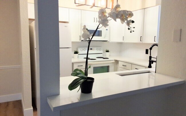 Building Photo - 1/1 Second Floor Remodeled Condo X Rent In...