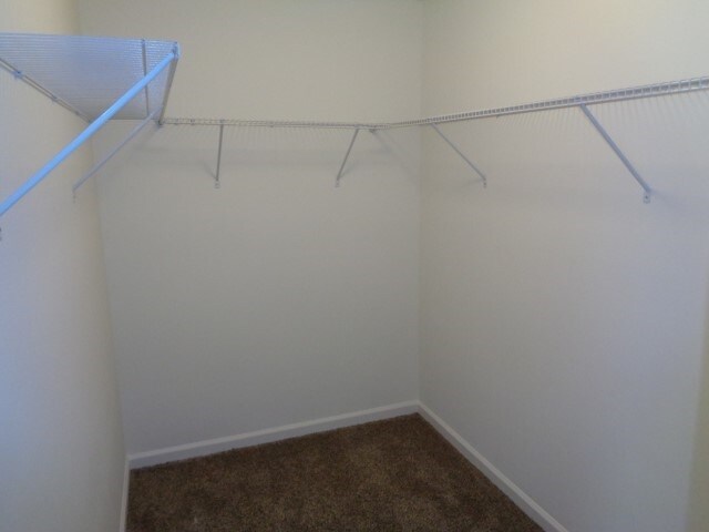 Building Photo - 404 Waverly Forest Ct