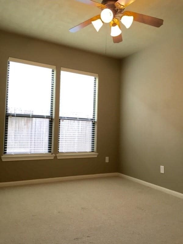 Building Photo - 1328 Studer St