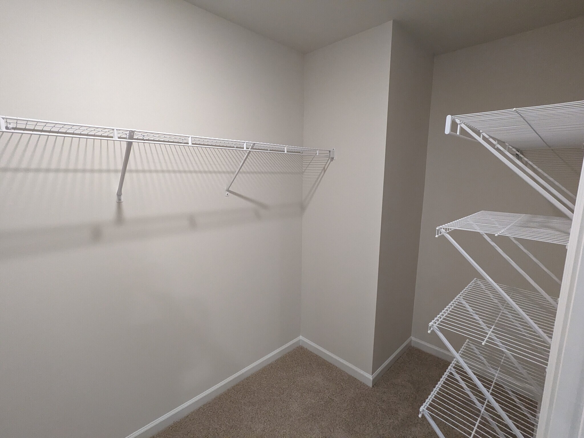 Building Photo - 1767 Odessa Ln