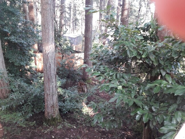 Building Photo - 4 Bedroom 3 Bathroom South Hills home Near...