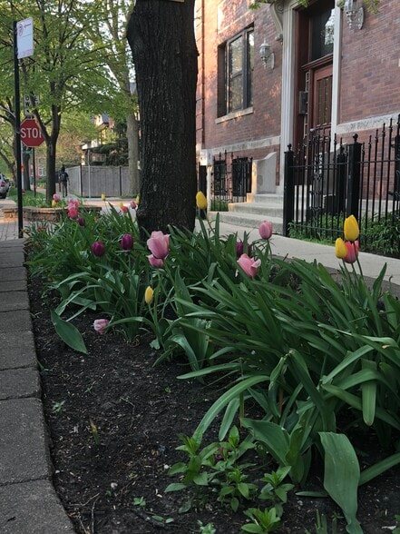 Building Photo - Woodlawn Commons