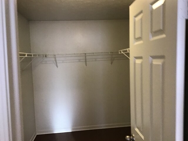 Building Photo - 2318 Lammermoor Cir
