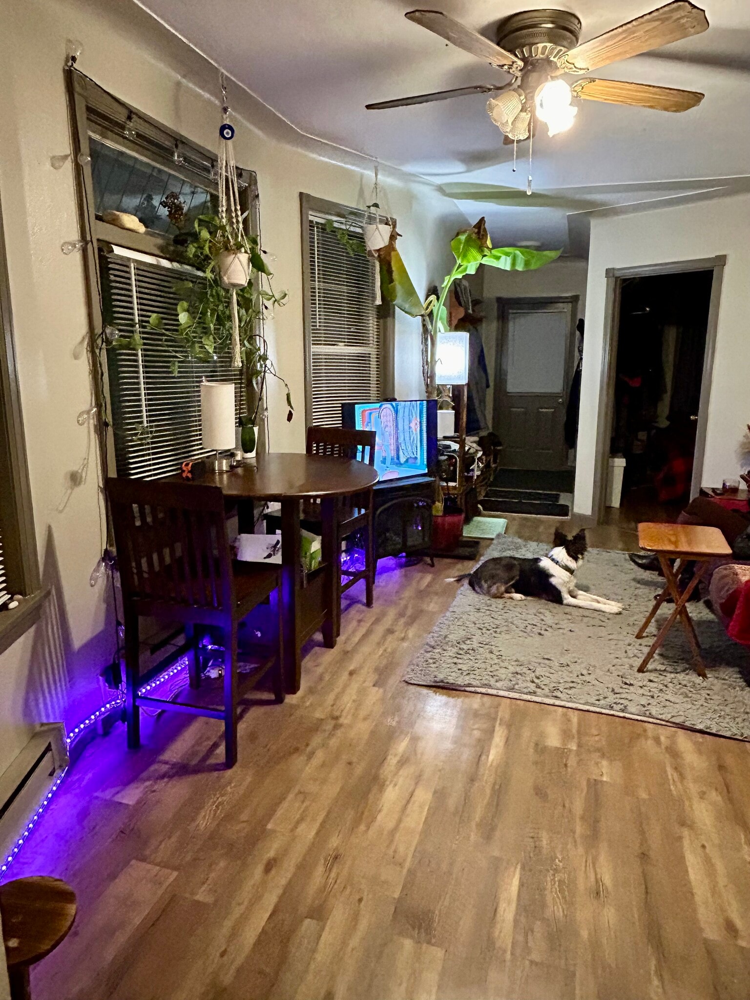 Building Photo - 419 N 43rd Ave W