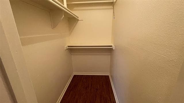 Building Photo - 3124 Tudor Ln