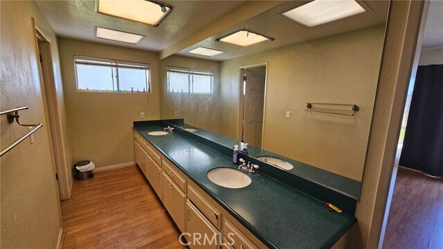 Building Photo - 2867 Shadow Canyon Dr