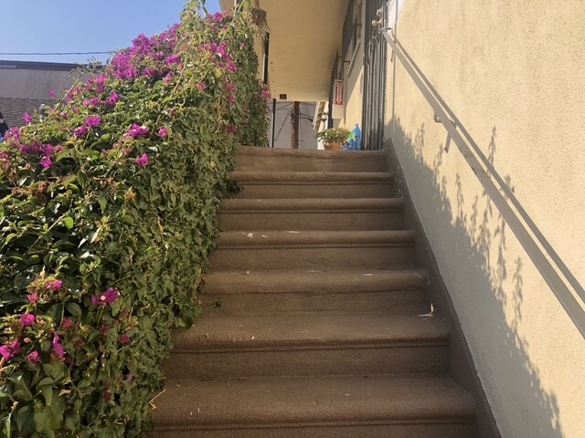 stairs leading to unit - 205 W Palmer Ave