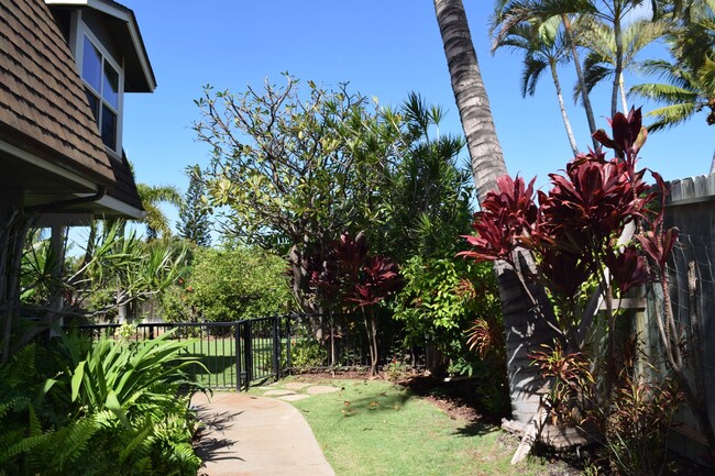 Primary Photo - South Kihei Ohana 2 bed 1 bath - nice yard