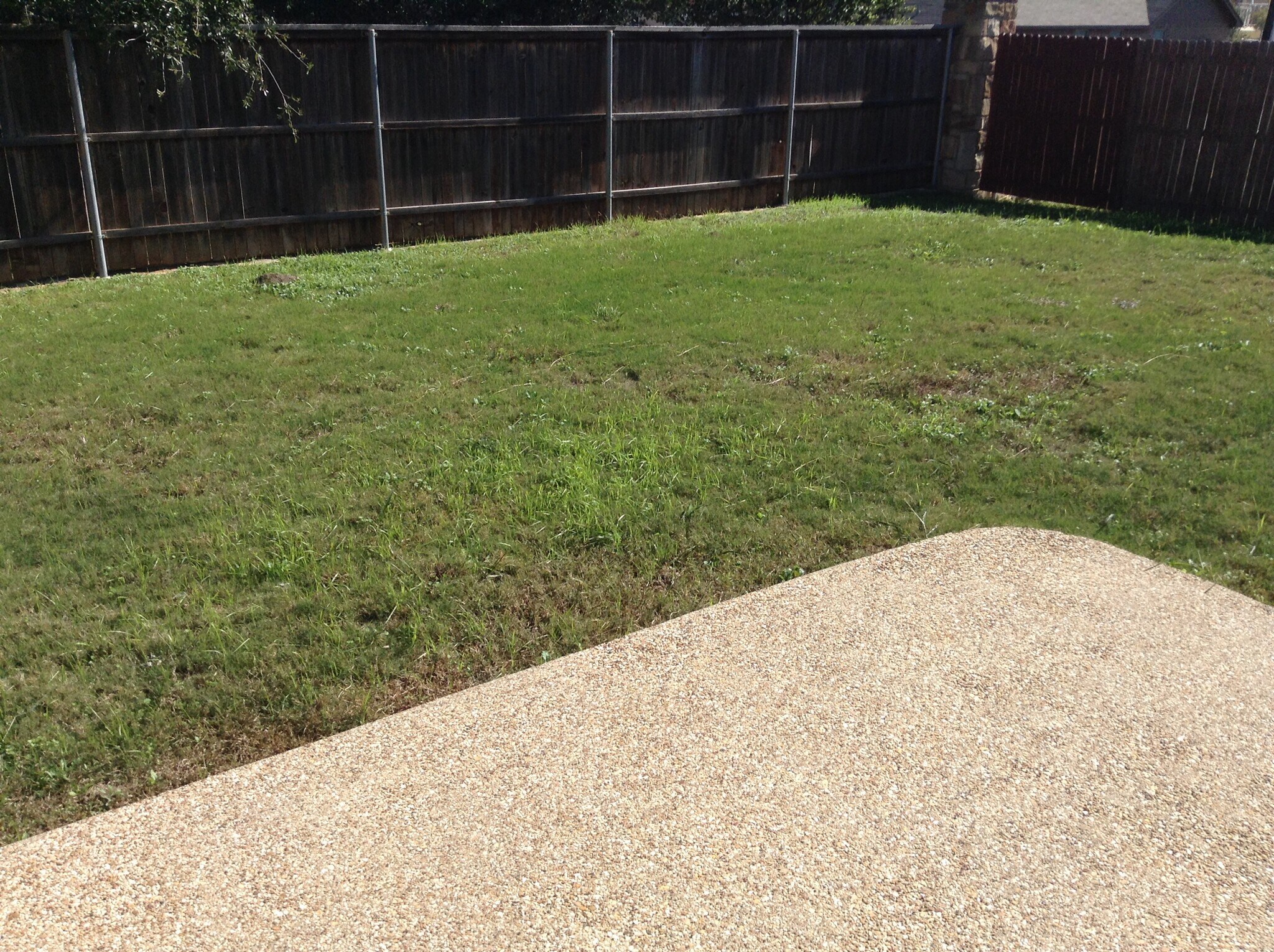 Building Photo - 6236 Spring Ranch Dr