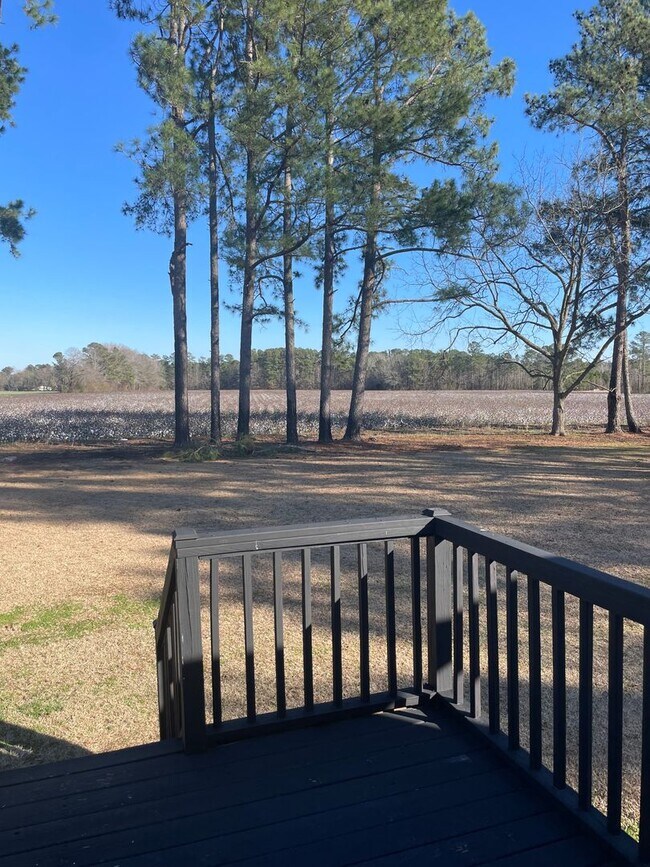 Building Photo - Country Living at it's Finest!