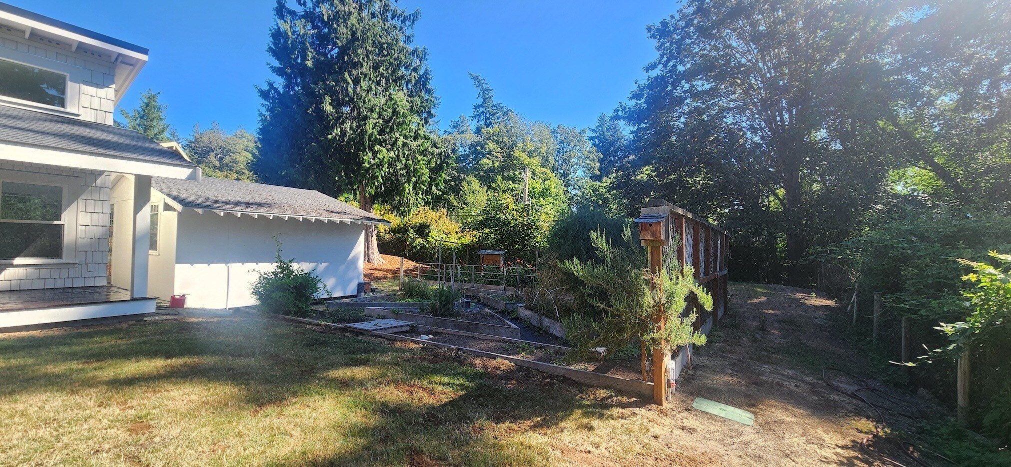 Building Photo - 8113 Sand Dollar Ln