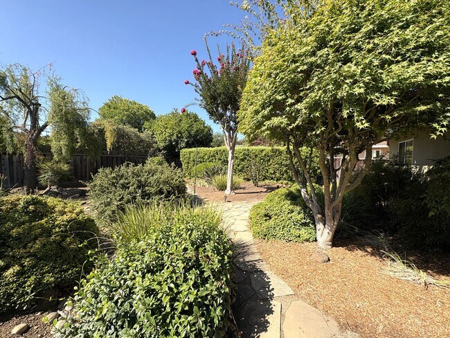 Building Photo - Modern Oasis in the Heart of Los Altos – U...