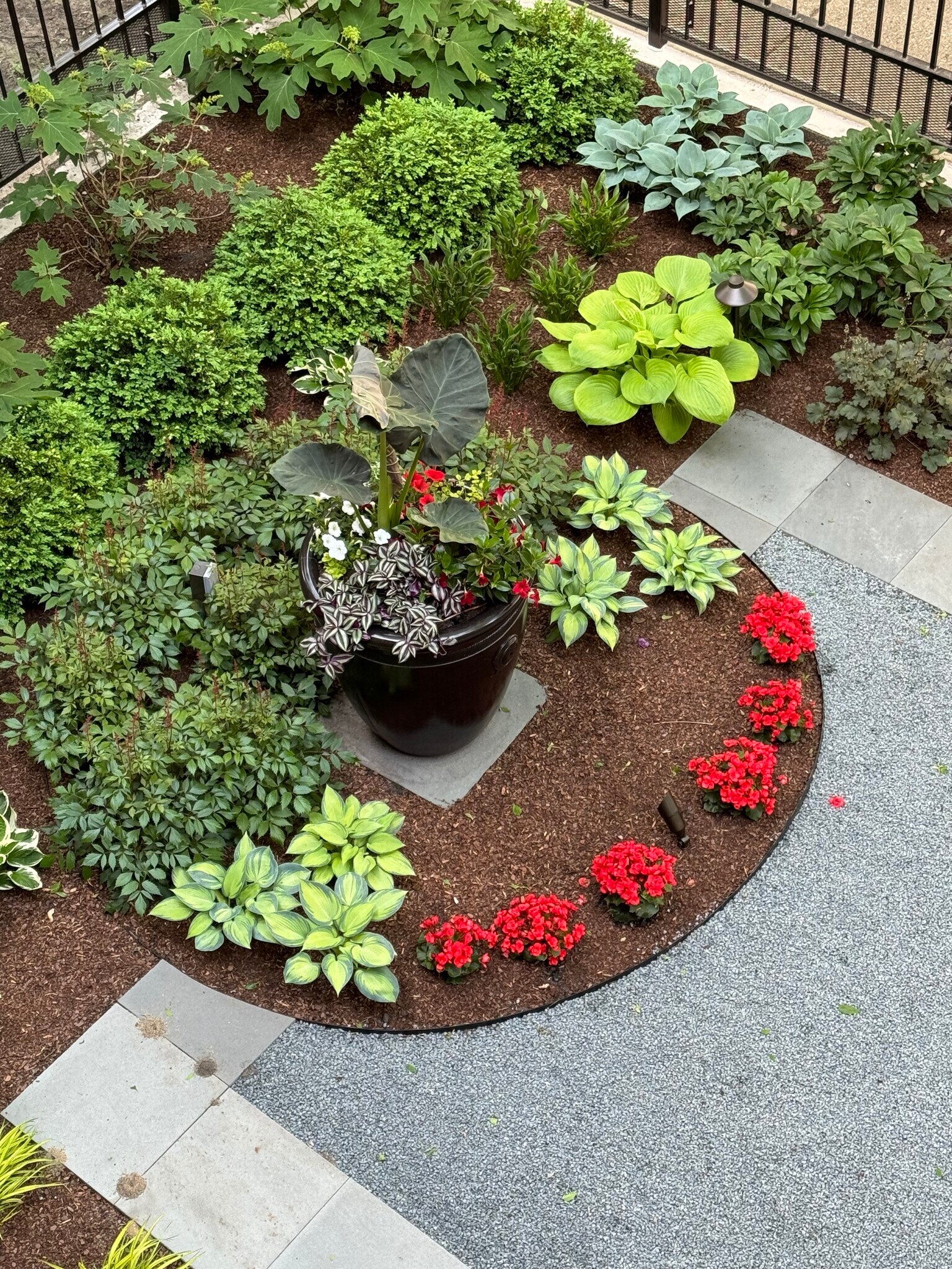 Garden Detail - 5610 N Kenmore Ave