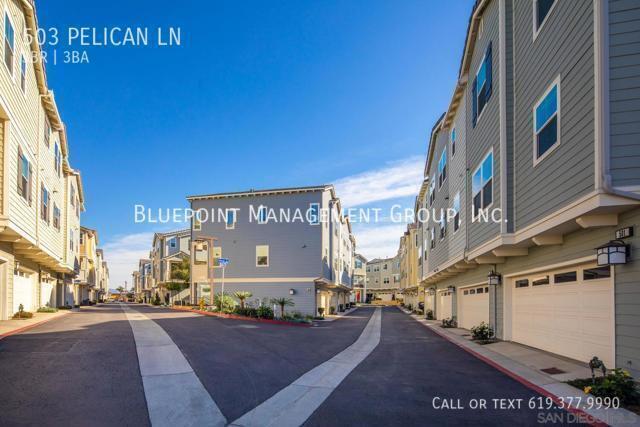 Building Photo - 503 Pelican Ln