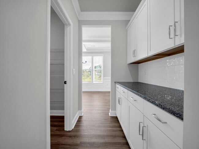 Building Photo - Luxurious New Constuction in Hendersonville