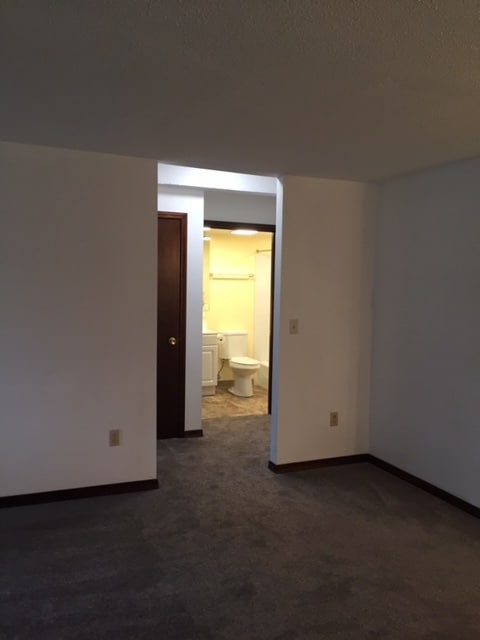 View from Living room to hall. - 317 Fairmount Ave