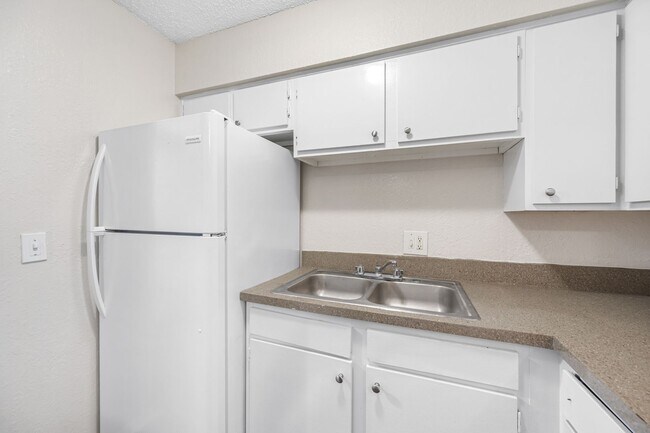 Building Photo - Spacious 1 Bed-1Bath apartment in the hear...
