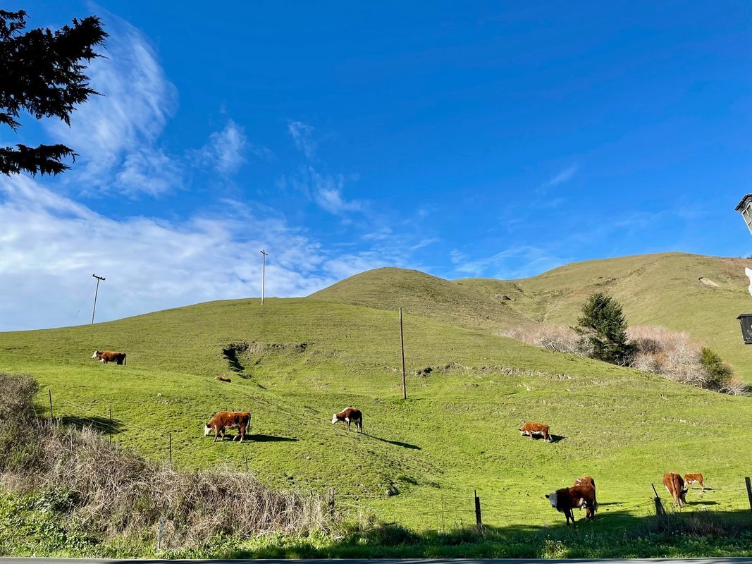 Building Photo - 29960 CA-116