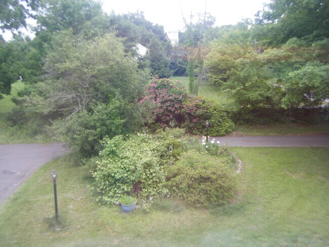 view from bedroom - 49 School St