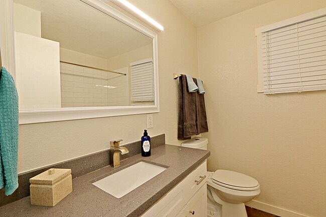 Building Photo - The Collins