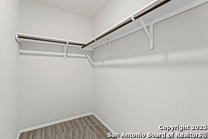 Building Photo - 10118 Agave Azul