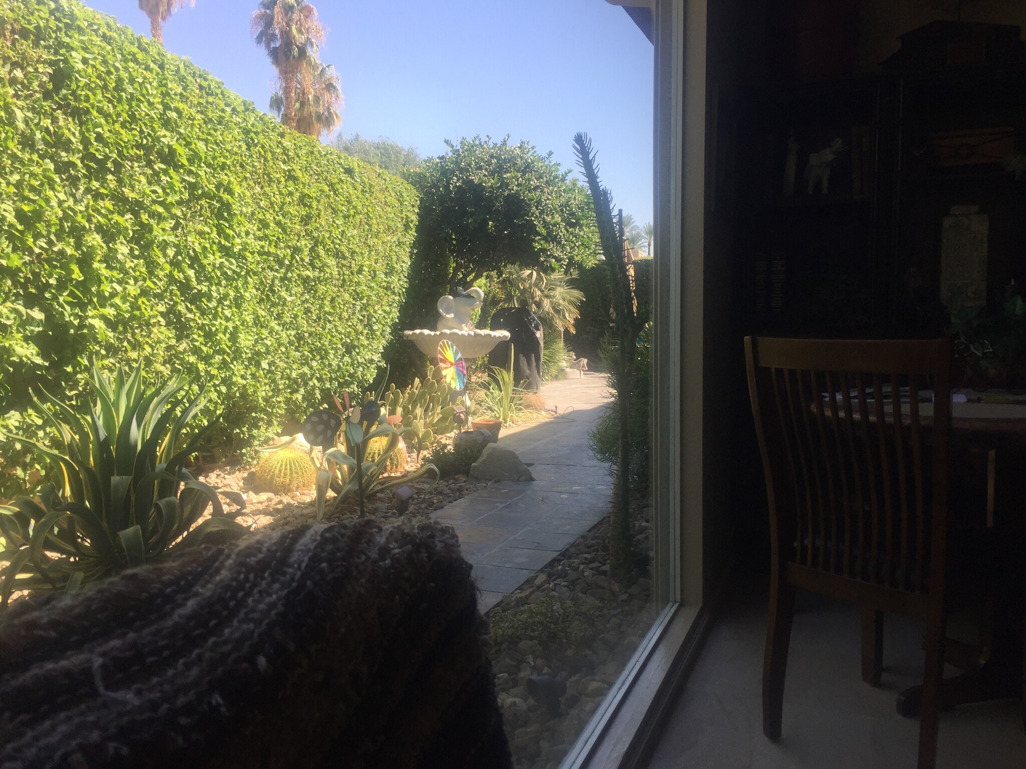 View From Morning Room - 23 Duke Dr