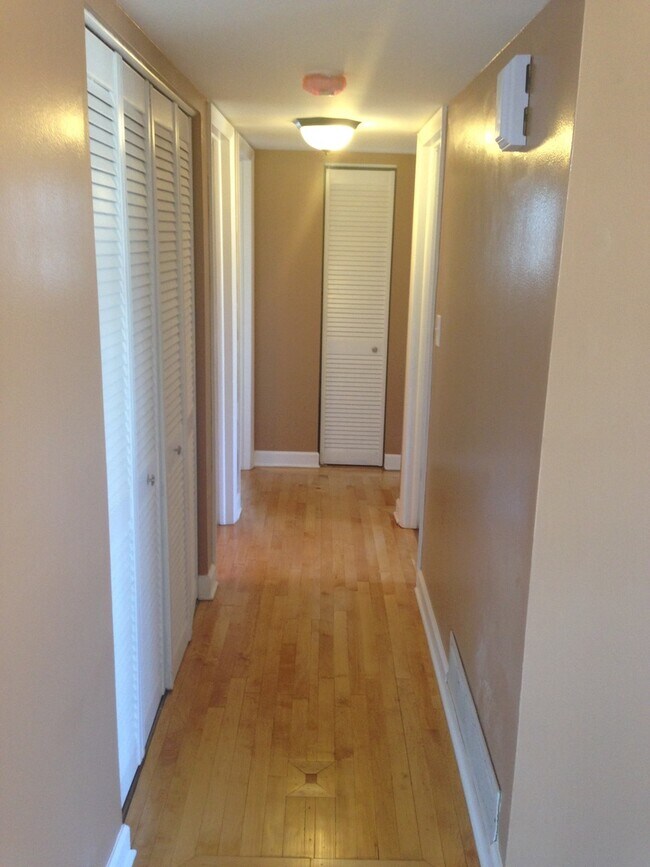 Building Photo - 157 Peter Ct