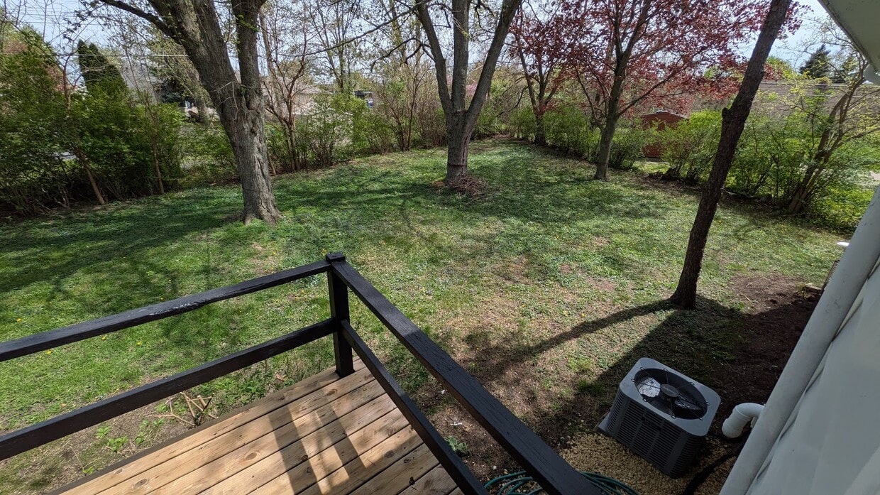 Nice Private Yard - 418 Lincoln Ln