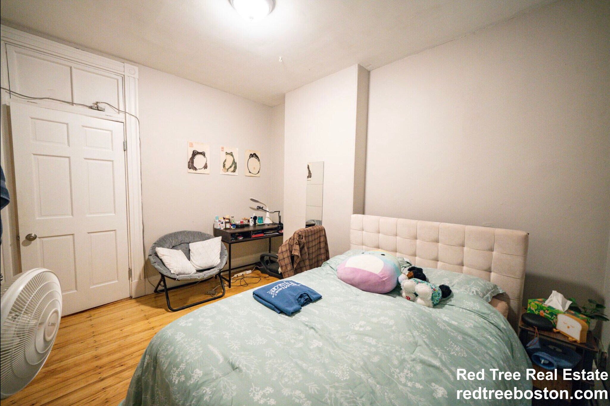 Building Photo - 135 Saint Alphonsus St