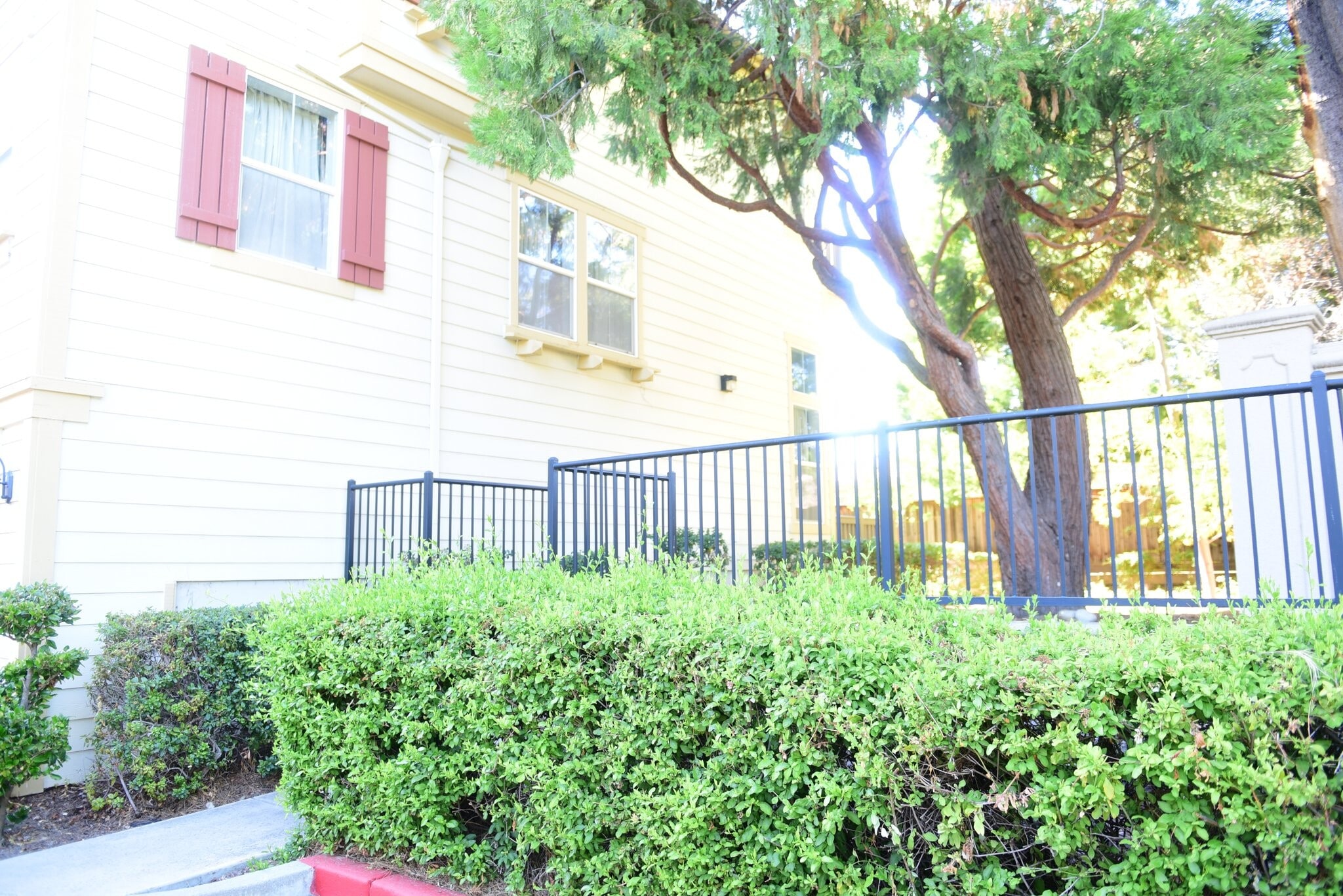 Building Photo - 449 Pariso Terrace