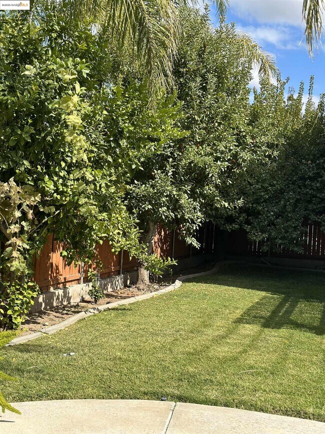 Building Photo - 4519 Twin Creeks Ct