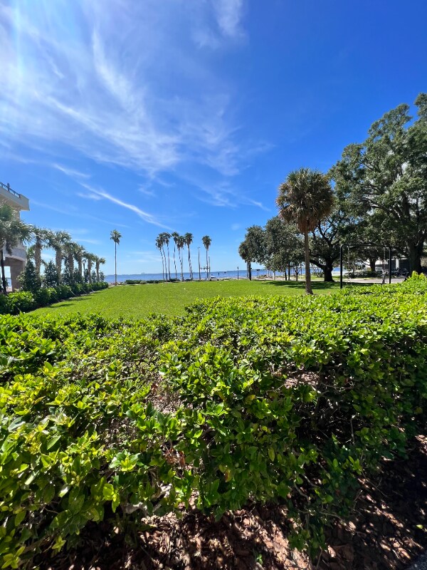 Building Photo - 2109 Bayshore Blvd