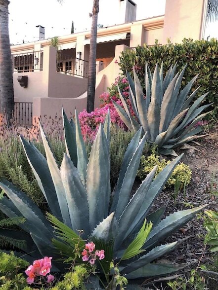 Building Photo - 3756 Foothill Rd