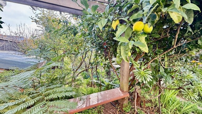 Building Photo - Charming Silver Terrace 3 Bedroom/1 BA SFH with Private Garden Oasis +Flex Bonus Room- AMSI