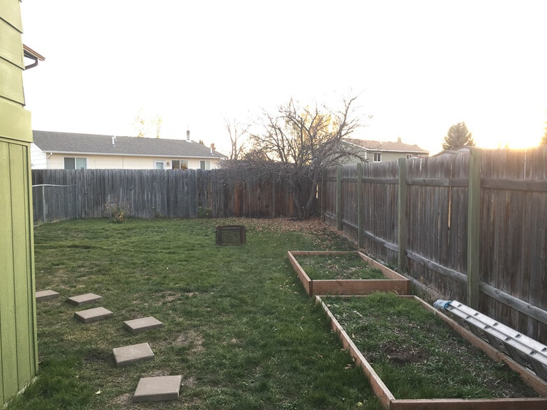 Backyard. Newly planted grass. Two raised garden beds are ready to go. - 901 Montana St
