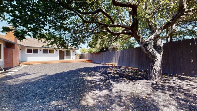 Building Photo - 1321 Lasuen Dr