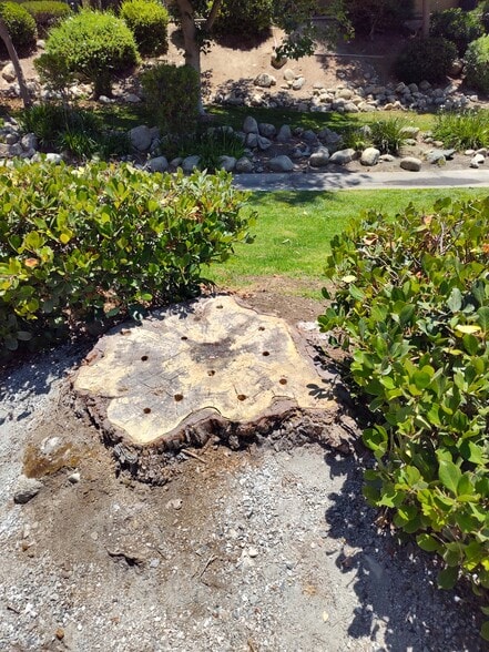 Greenbelt - 1365 Crafton Ave