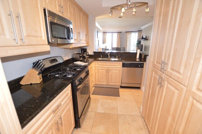 Building Photo - Meridian Furnished 2 Bd / 2 Ba Luxury Condo, Newly Renovated